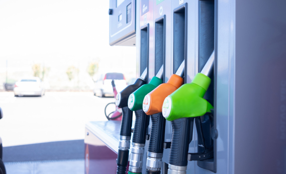 Contributo Contributo